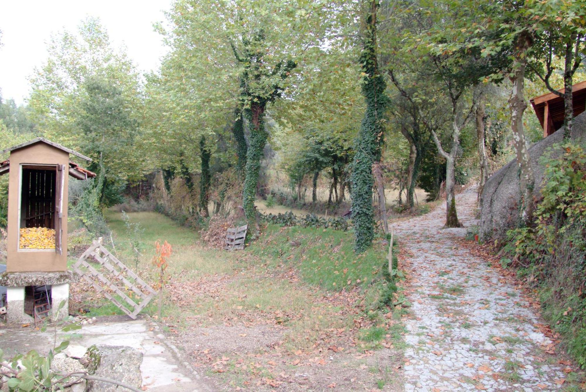 Гостевой дом Quinta Da Veiga E Malhadoira Виейра-ду-Минью Экстерьер фото