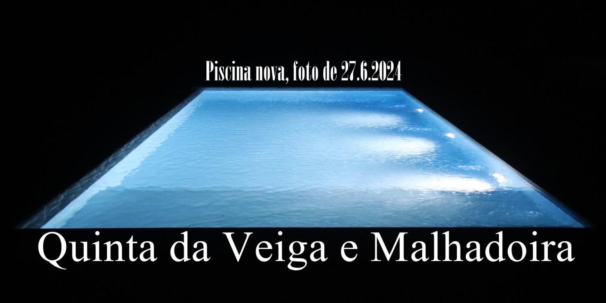 Гостевой дом Quinta Da Veiga E Malhadoira Виейра-ду-Минью Экстерьер фото