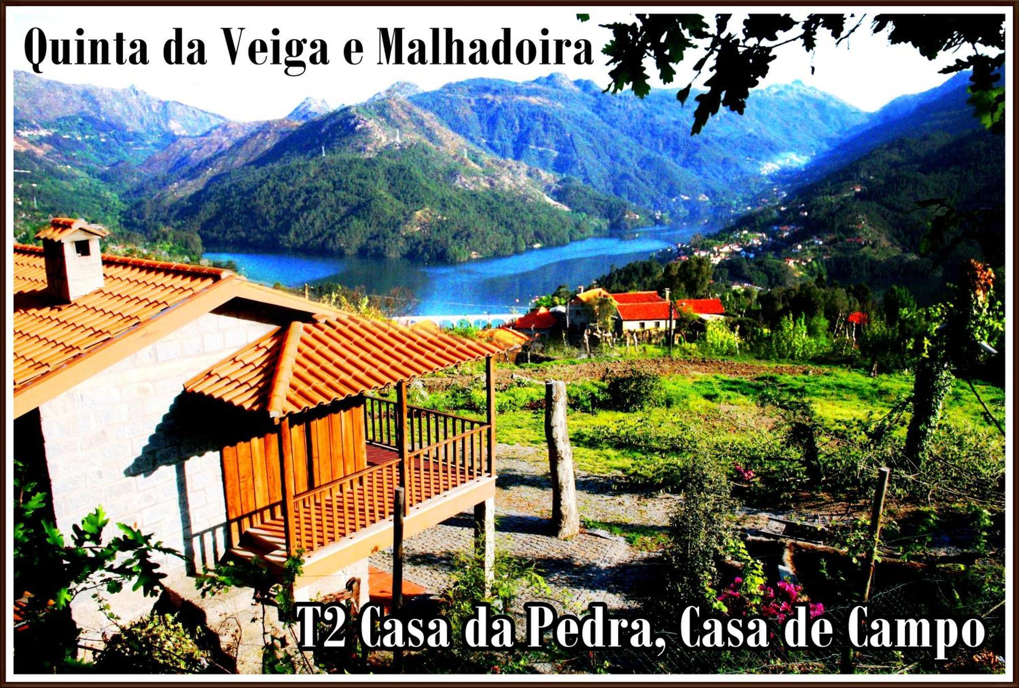 Гостевой дом Quinta Da Veiga E Malhadoira Виейра-ду-Минью Экстерьер фото